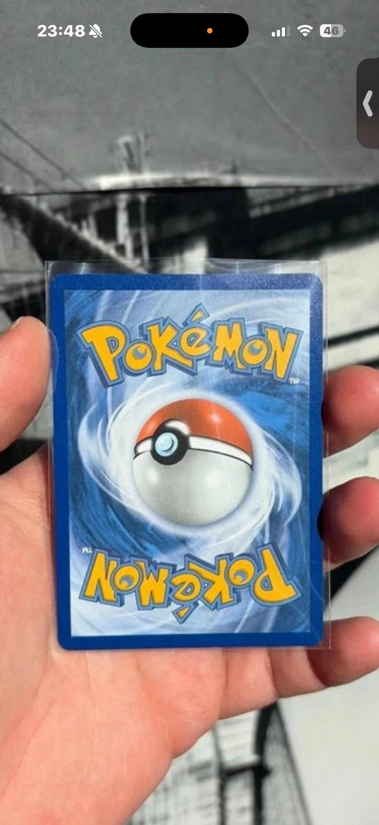 Charizard foto 2