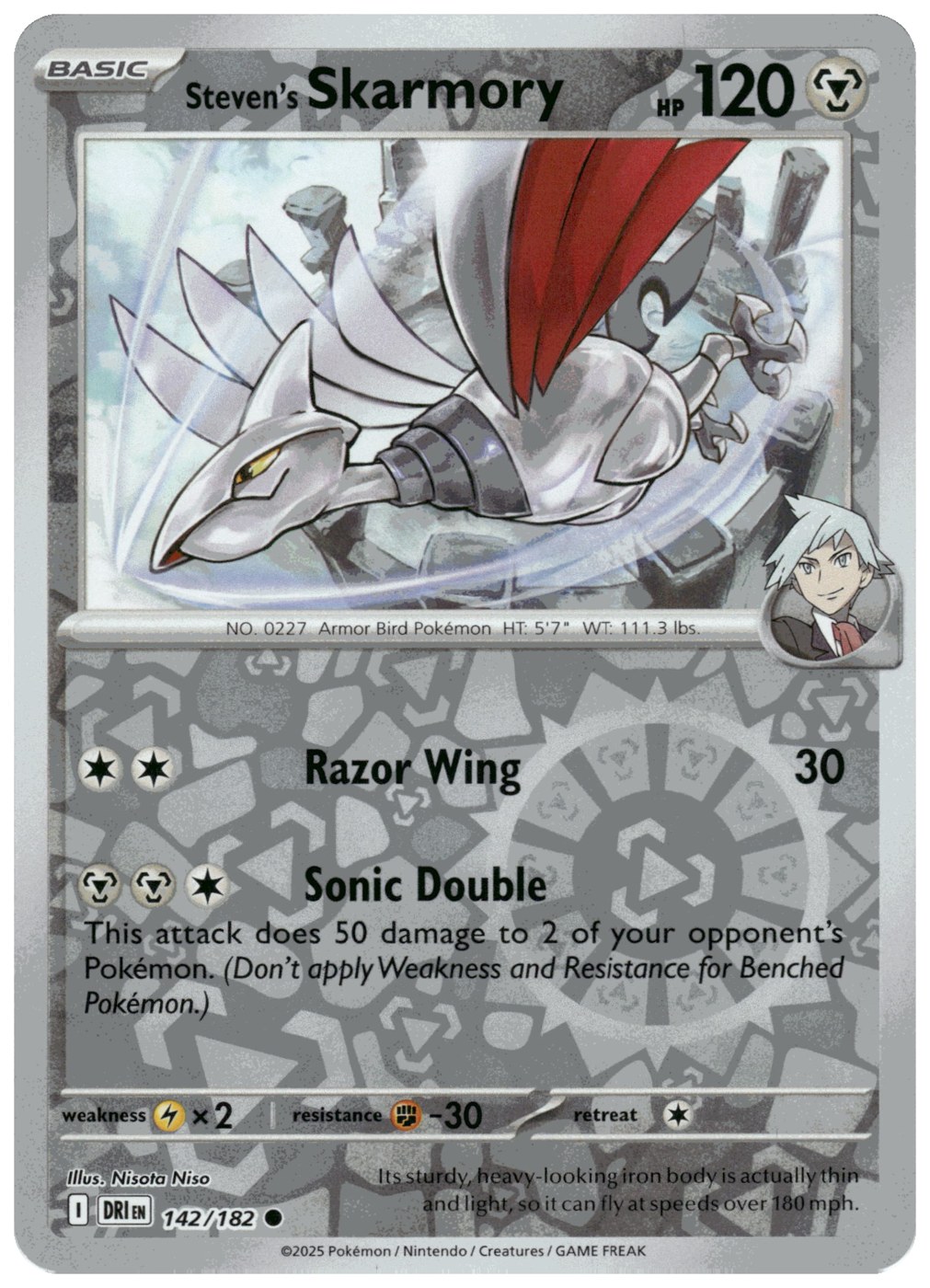 Steven's Skarmory foto 1