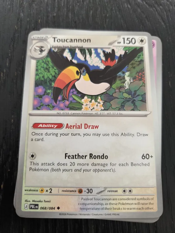 Toucannon