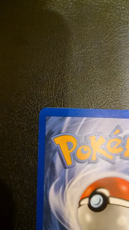 Pikachu foto 7
