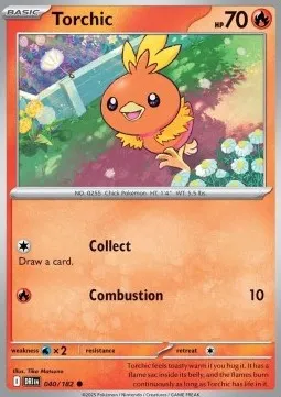Torchic