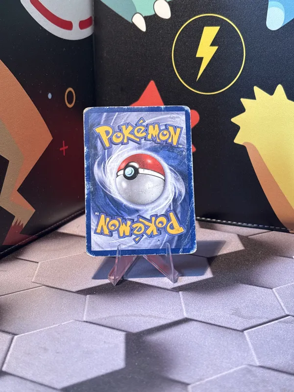 Ponyta foto 2