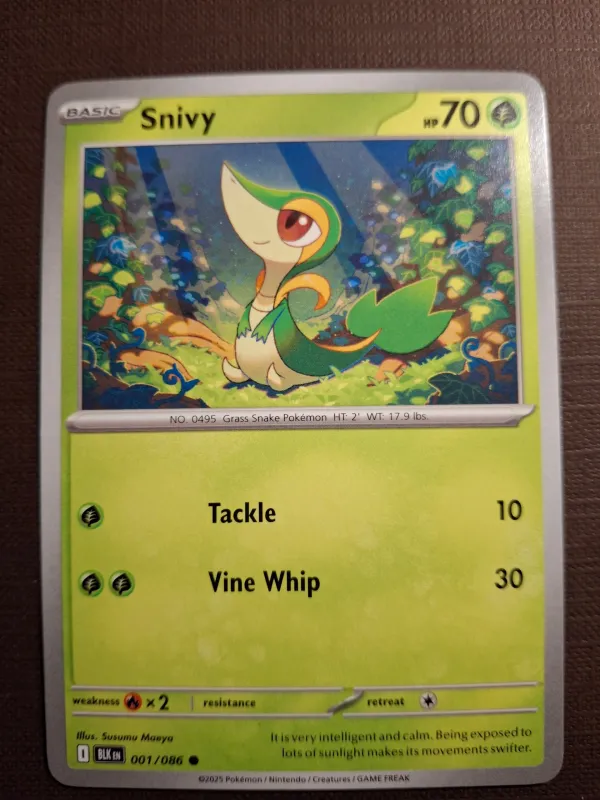 Snivy