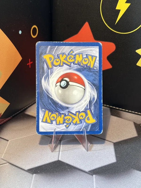 Chikorita foto 2