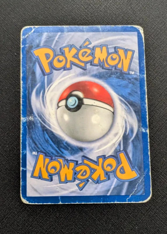 Squirtle foto 2