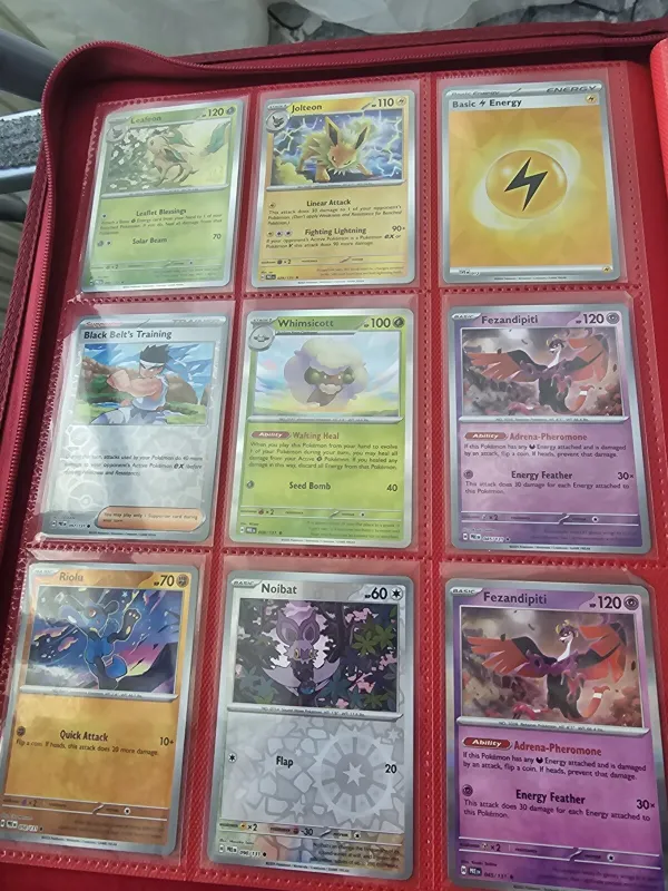 Hele bundle foto 4