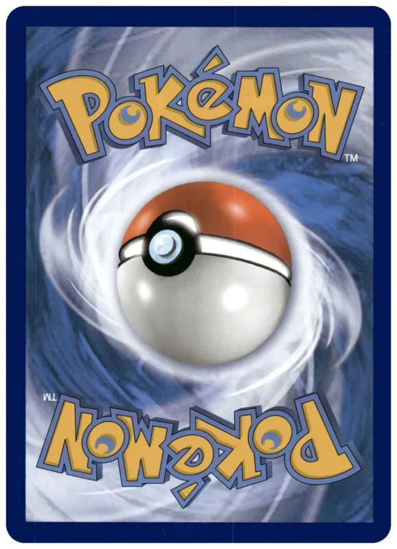 Volo foto 2
