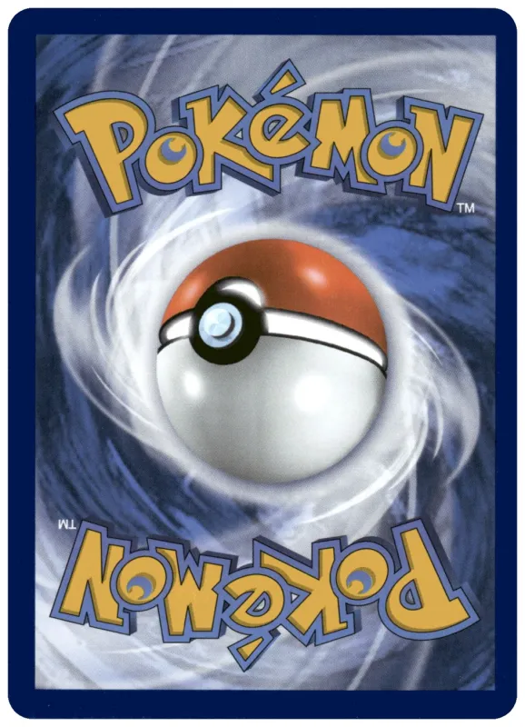 Seel foto 2