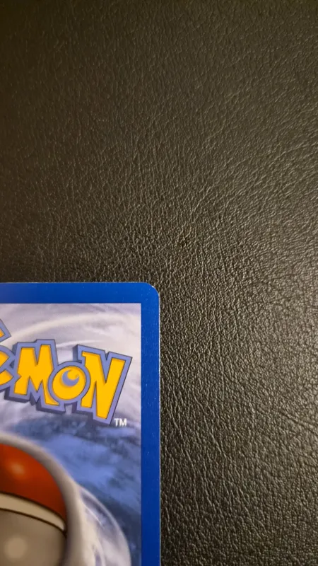 Pikachu foto 8