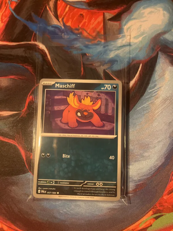 Bulk pitch black 100 stuks