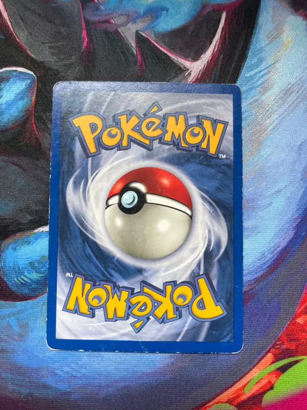 Swinub foto 2