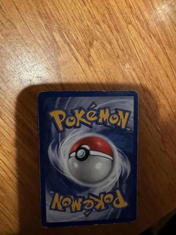Articuno foto 6