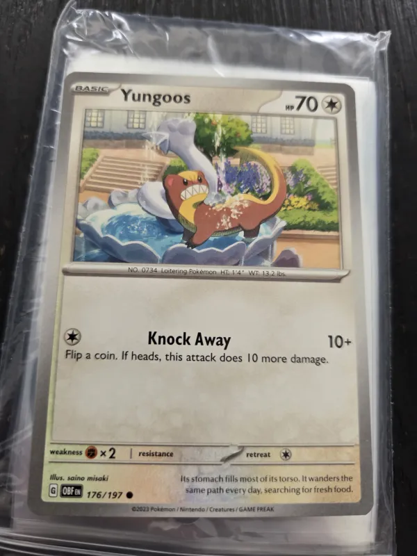 Yungoos