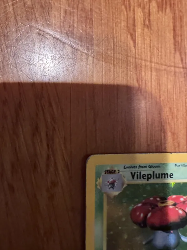 Vileplume foto 7