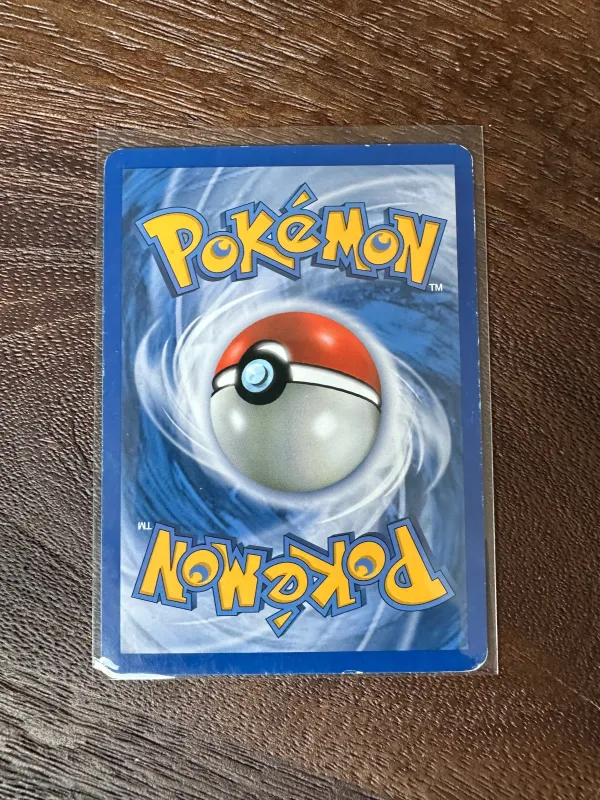 Pachirisu foto 2