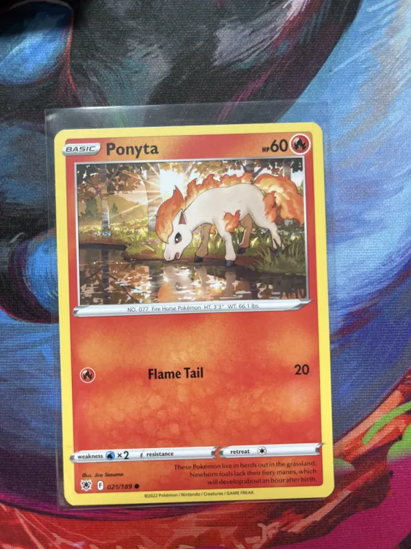 Ponyta