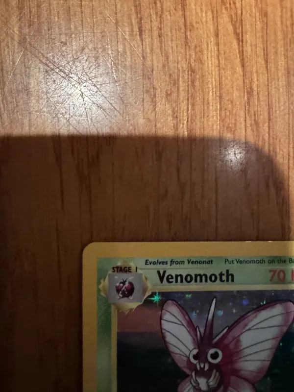 Venomoth foto 10
