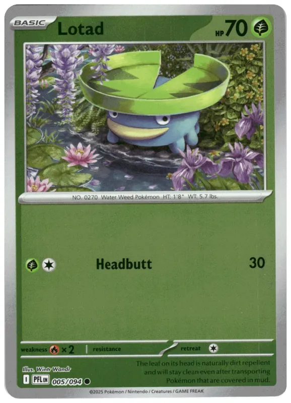 Lotad