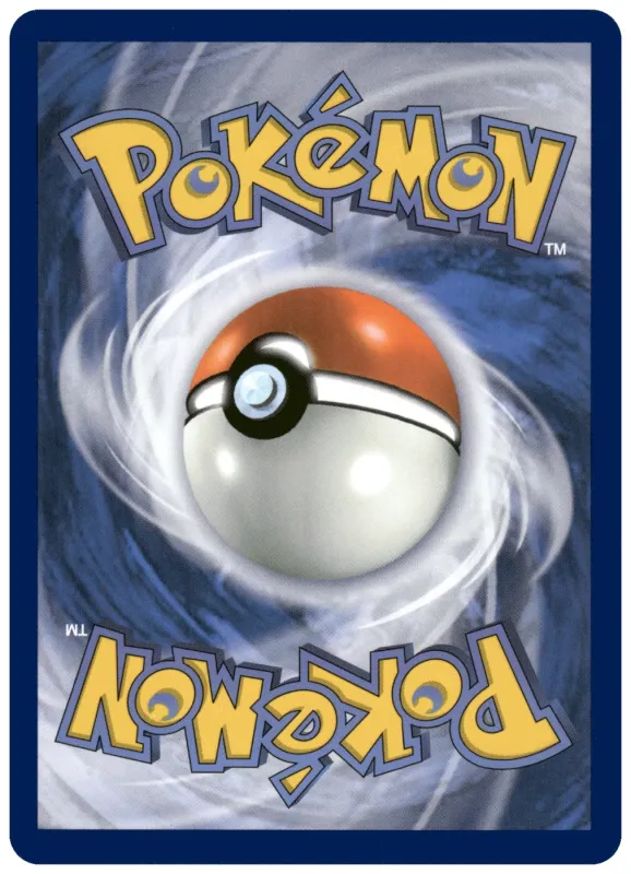 Raticate foto 2