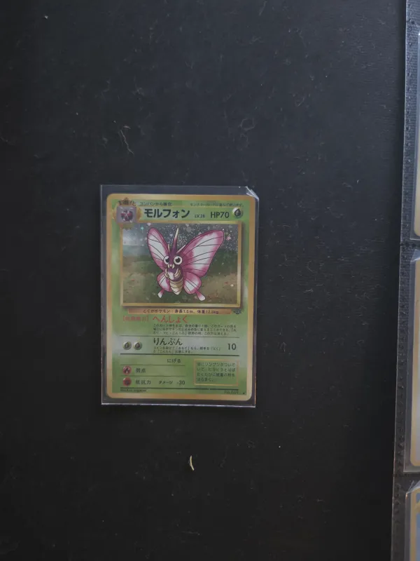Venomoth