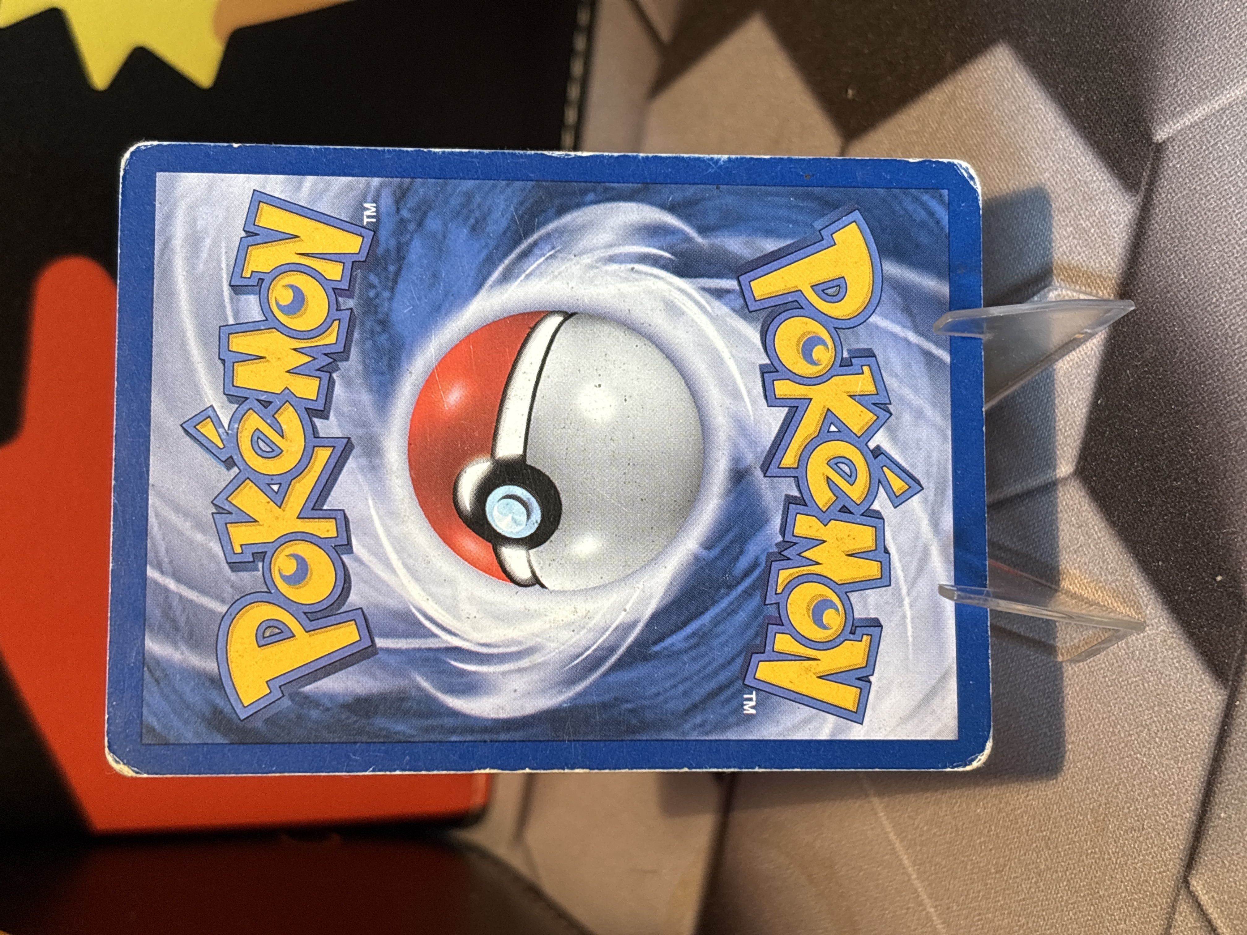 Omanyte foto 2