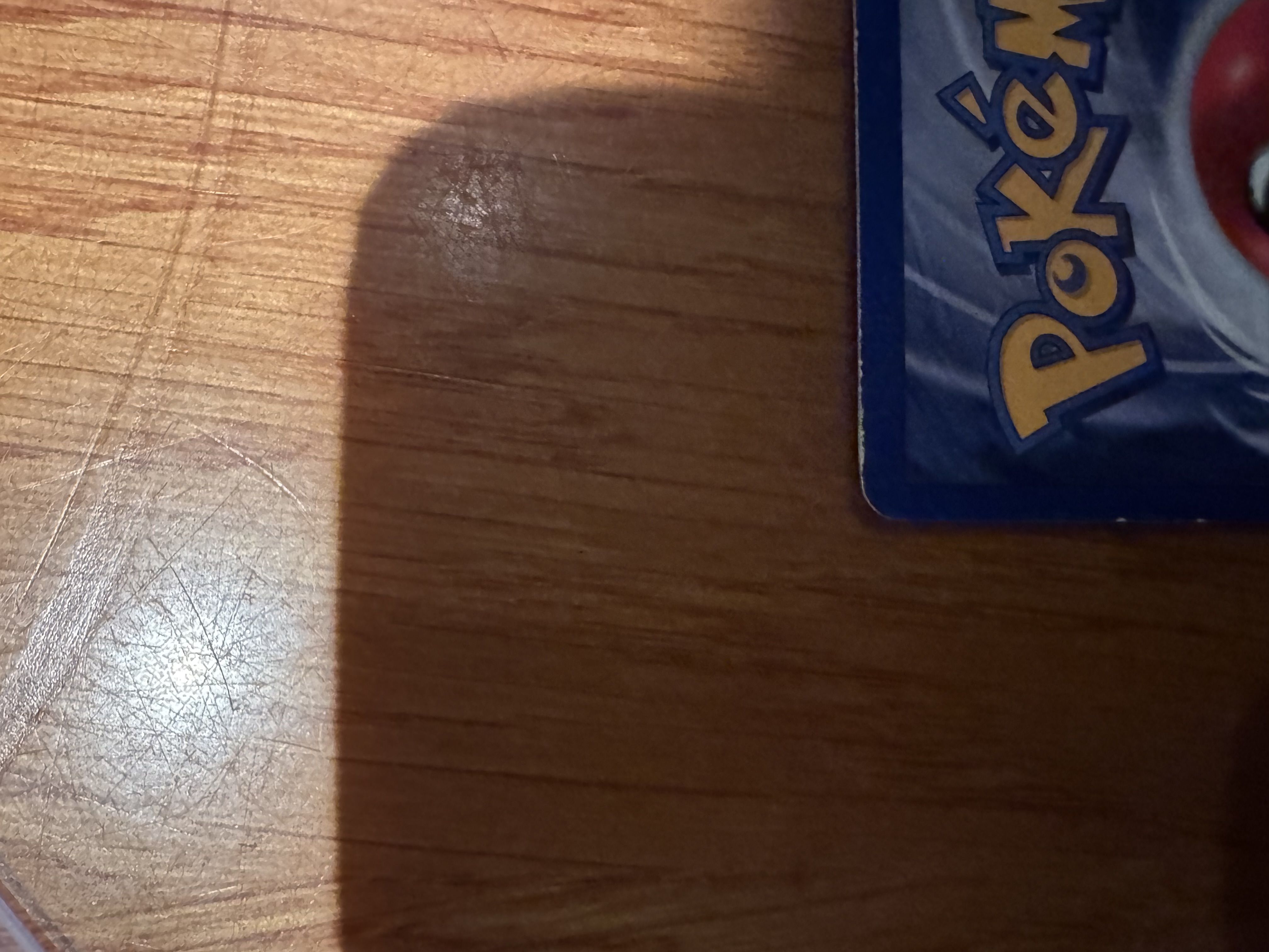 Kangaskhan foto 5