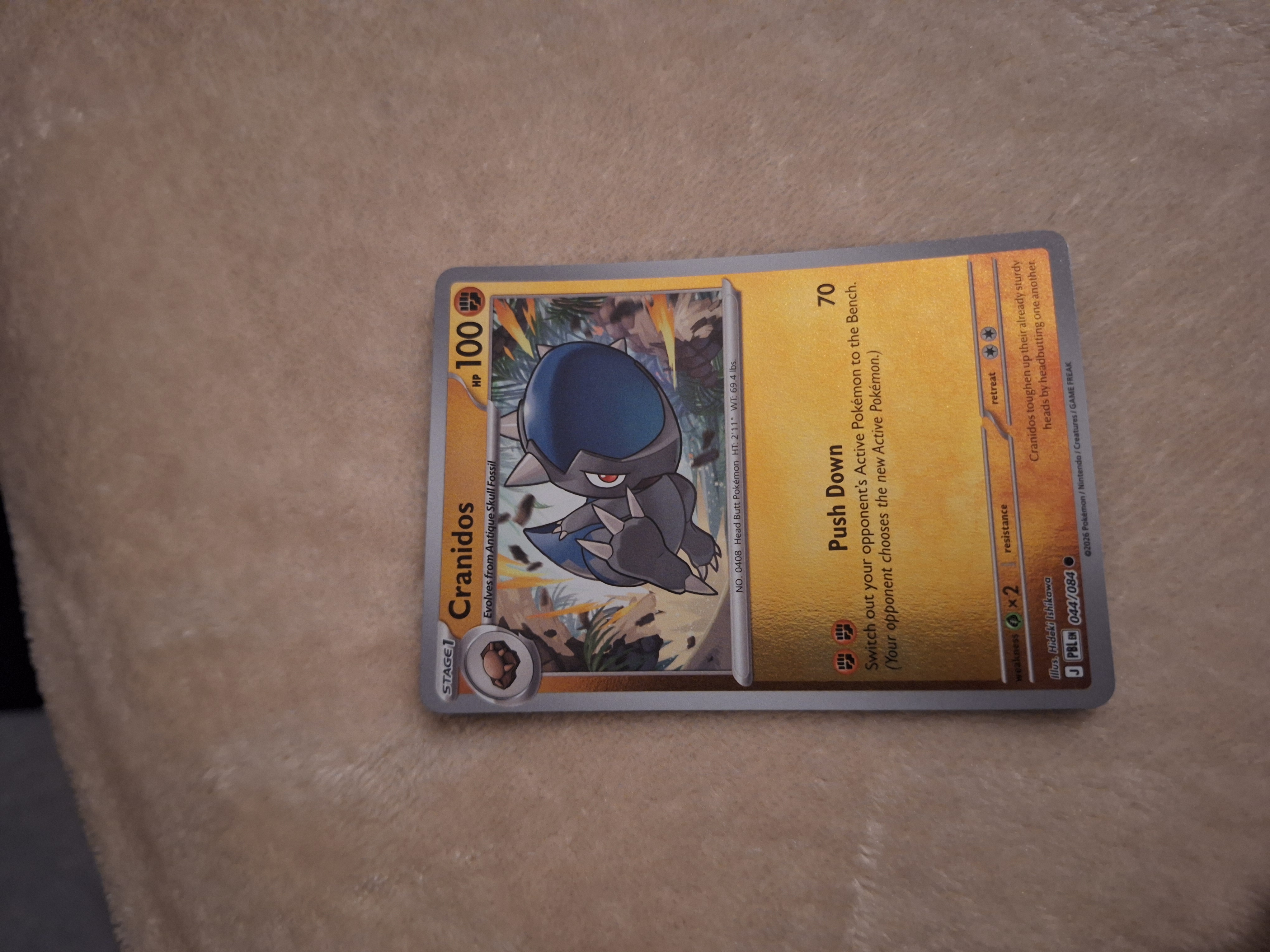 Cranidos foto 2