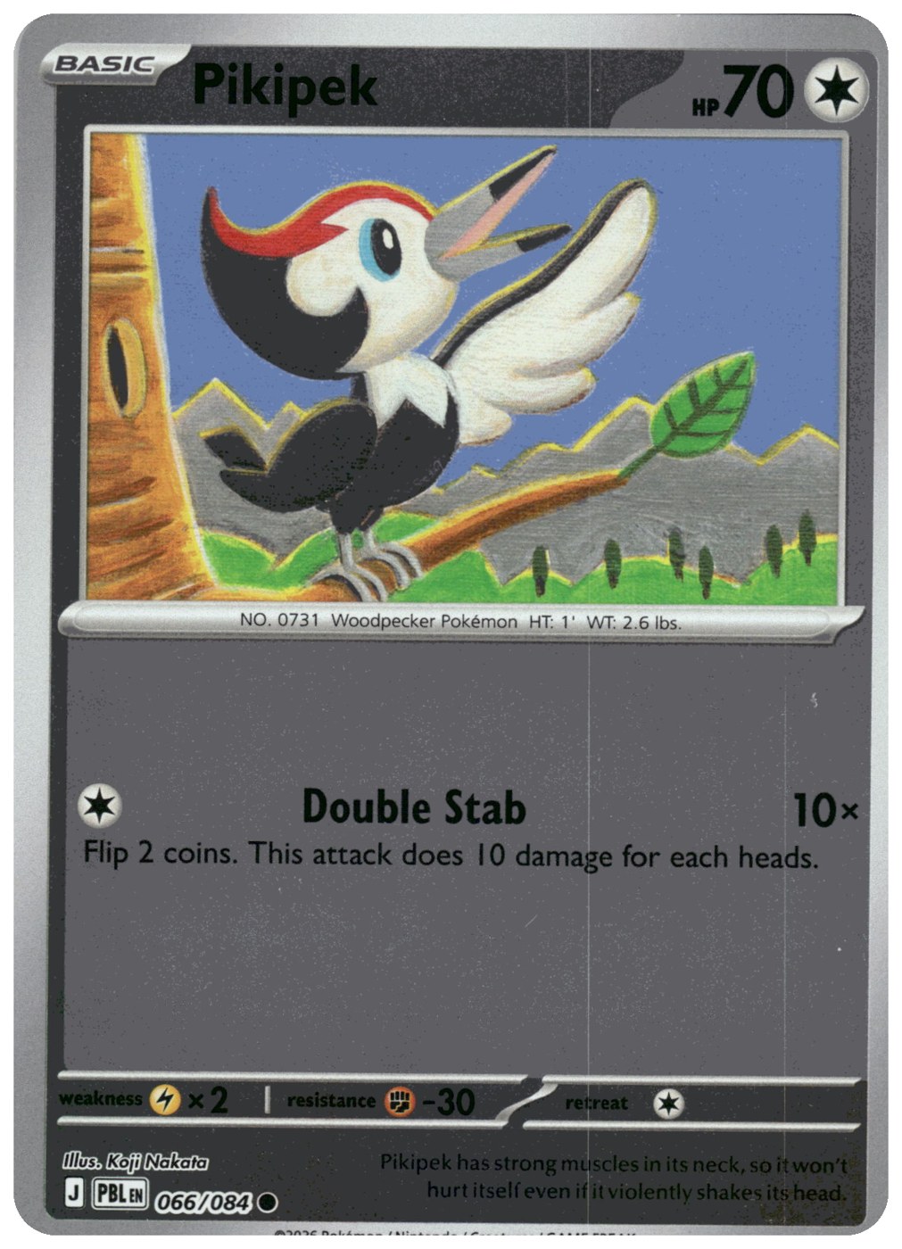Pikipek