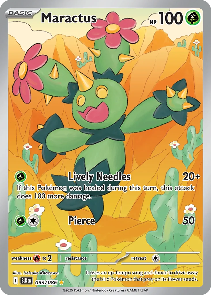 Maractus