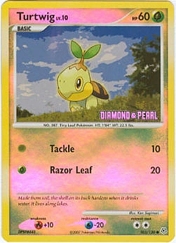 Turtwig Lv.10