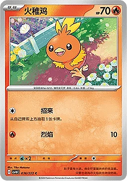 Torchic