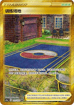 Training Court