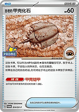 Antique Dome Fossil