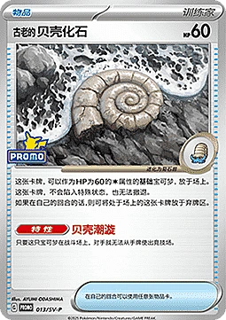 Antique Helix Fossil
