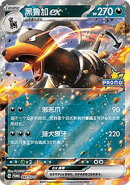 Houndoom ex