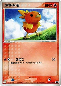 Torchic