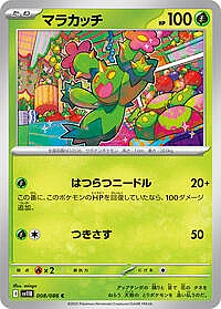 Maractus