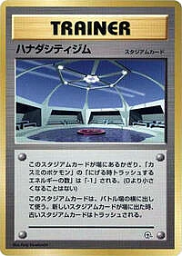 Cerulean City Gym
