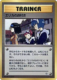 Erika's Maids