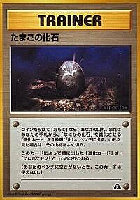 Fossil Egg