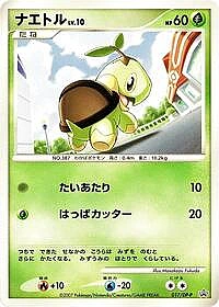 Turtwig