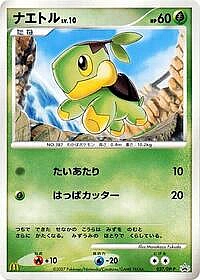 Turtwig