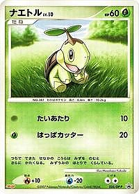 Turtwig