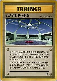 Cerulean City Gym