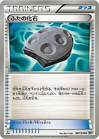 Cover Fossil