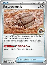 Antique Dome Fossil