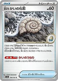 Antique Helix Fossil
