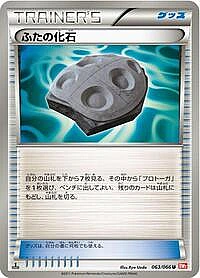 Cover Fossil
