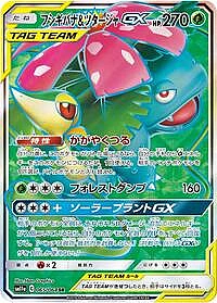 Venusaur & Snivy GX