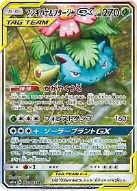 Venusaur & Snivy GX